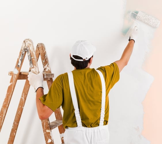 FT Torres painter at work, rolling fresh paint on an interior wall